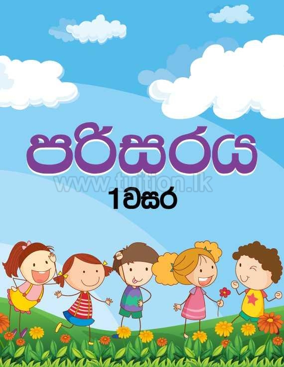 tuition class olevel sri lanka colombo private school pass papers