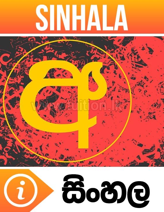 tuition class olevel sri lanka colombo private school pass papers